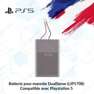 batterie dualsens