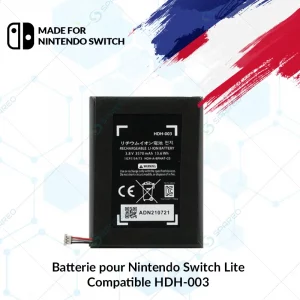 batterie nintendo switch lite